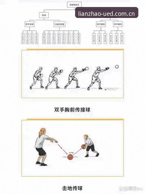 UED体育平台v3.2.0深度评测：赛程、积分与收藏的实用连招解析